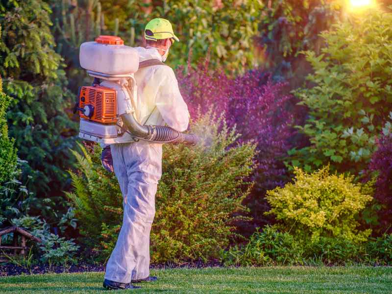 Preventive Pest Maintenance Glenolden - Bug Away