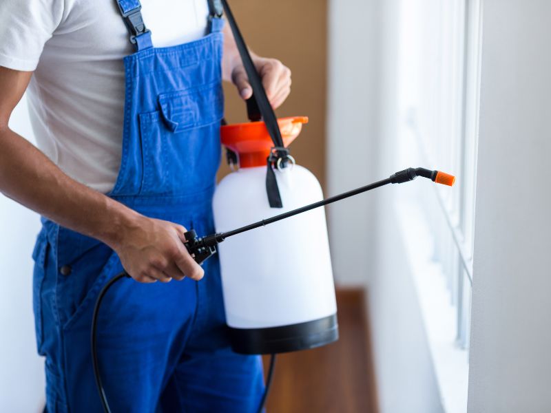 Integrated pest management program for a family home in Glenolden, PA